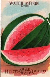 vintage watermelon