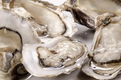five fresh, open oysters from the west coast of Ireland