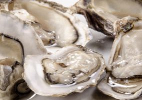 five fresh, open oysters from the west coast of Ireland